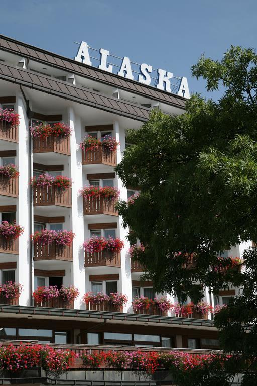 Alaska Cortina